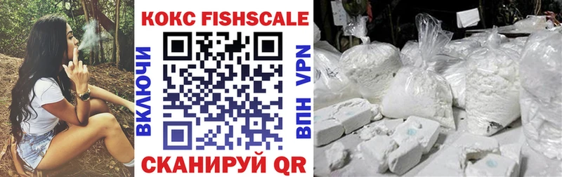 kraken ССЫЛКА  Холмск  COCAIN Fish Scale 